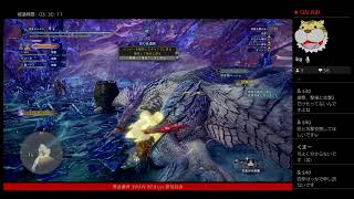 MHW:IB 珠集め、導きの地まわし。アイスボーン モンハン