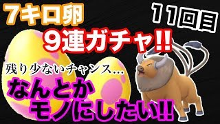 【ポケモンGO】残り時間少し！地域限定対象7kmたまご9連ガチャ！11回目！