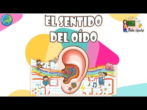 El sentido del oído | Aula chachi - Vídeos educativos para niños