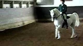 preview picture of video 'Dressage Performance from the Original Lipizzans 5'