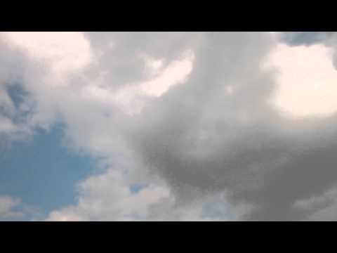 Żurawie nad Krasnobrodem (Hutki) Roztocze Środkowe