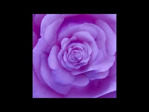 201 (wx. x Tyszan) JEDWAB