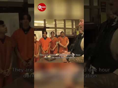 The Reality of Juvenile Detention Centres in the US | Link below for the full doc! #shorts