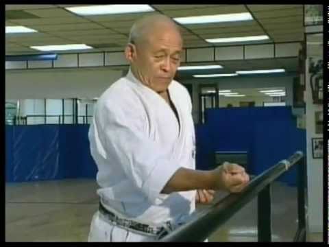GoSoku Ryu: IKA Soke Takayuki Kubota (10th Dan) Montage