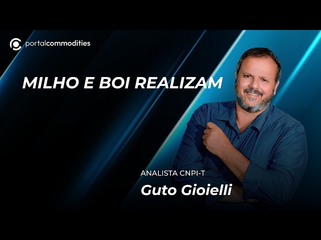 Boi e a logística na guerra