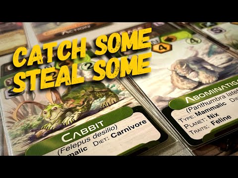 Tutorial / Play Through