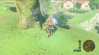 ゼルダの伝説 botw