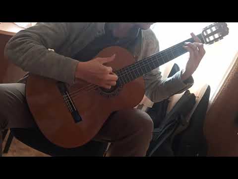 Admira Malaga - Customised Spanish Guitar - Image 2