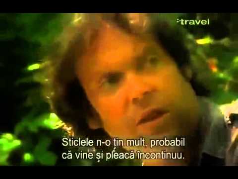 Cazare Onesti - Cazat.ro