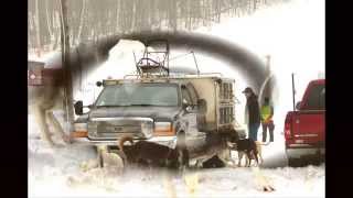 preview picture of video 'Skijoring Demo video 2014 Winter Park Minocqua'