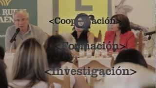 preview picture of video 'Cursos de verano en Torres'