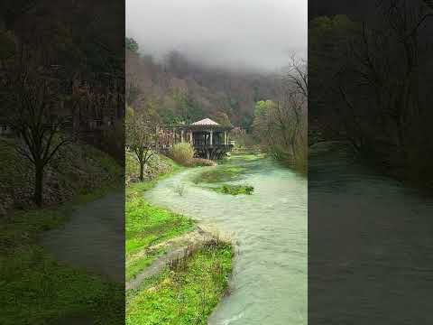 natural  beauty# noshi volag#