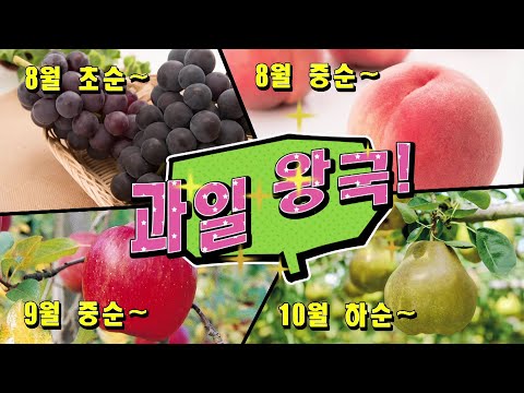 히가시네 시(東根市) 프로모션 비디오「 HIGASHINE COLLECTION~ひがコレ~」（韓国語）