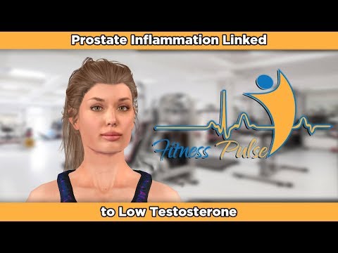 Echogenitätserhöhung Prostata Prostatitis schädliche Produkte