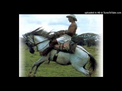 GABAN VAGABUNDO - El Carrao de Palmarito - Arpista José Archila