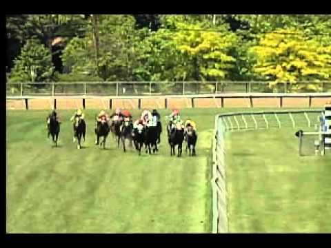 Pimlico 05/24/15 race 3