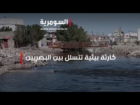 شاهد بالفيديو.. كارثة بيئية تتسلل بين البصريين