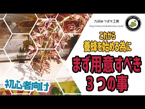 野生のミツバチのための 3 つの簡単な営巣補助具 トピックス