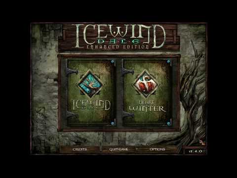 Icewind Dale: Enhanced Edition - Any% Speedrun Tutorial