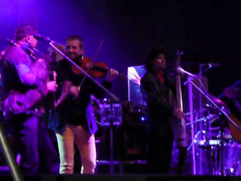 Čechomor - Vyšly ryby