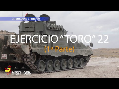 Esta es una parte de la potencia de fuego de todo un Ejército. Es la fuerza del ejercicio "Toro" 22