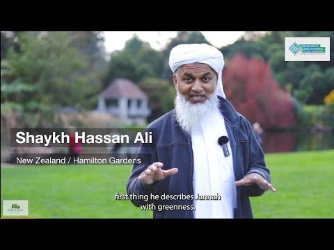Greenery in Jannah | Shaykh Hasan Ali #islamicreminders #shaykhhasanali #jannah #greenery #garden