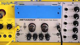 Video thumbnail for Metasonix R-56 Vacuum Tube Spring Reverb module by bigcitymusic