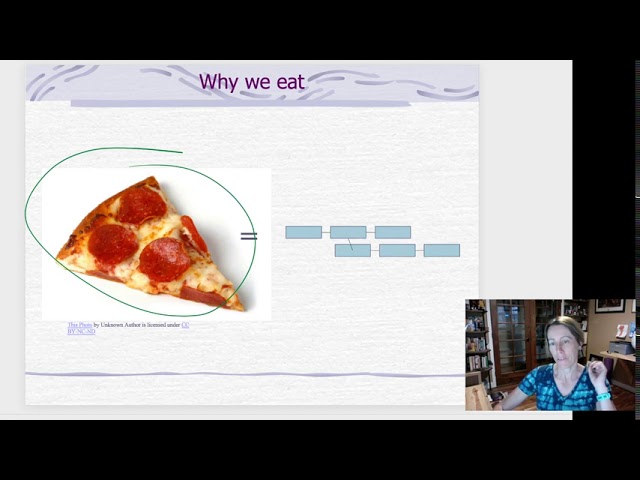 Understanding Why We Eat: The Biological Basis of Nutrition | Magica