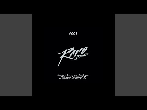 The World Playground (Barac Remix)