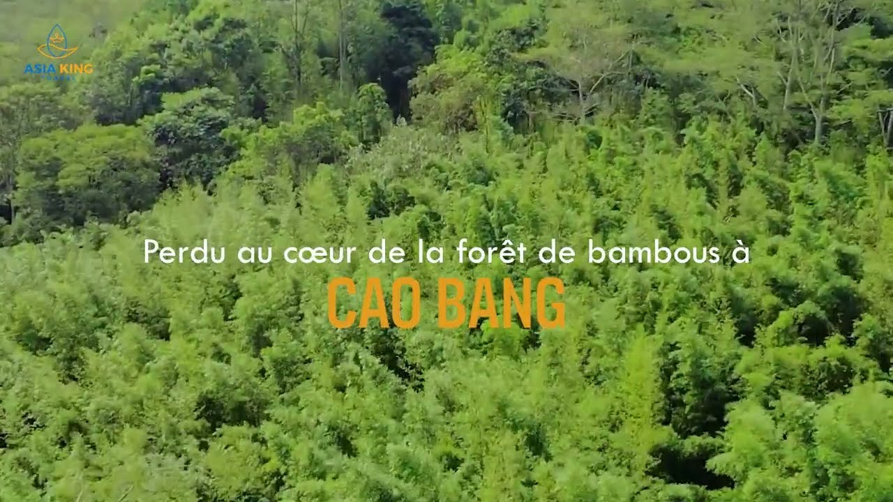 Perdu au cœur de la forêt de bambous à Cao Bang