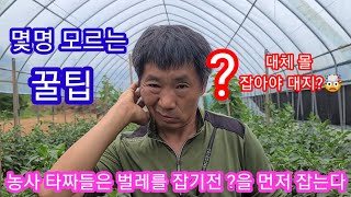 농사 타짜들은 벌레를(살충제)잡기전에 ?을 먼저 잡습니다 살충제,제초제 사용방법~솔림농원 비닐하우스  텃밭~