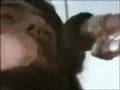 THE RUTLES - Get Up And Go (1969) 