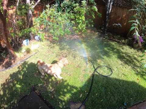 Ernie Rodrigo Rodrigo y Rodrigo