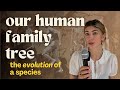 A Brief Overview Of Human Evolution HOMO HISTORY