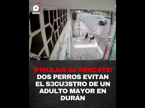 Dos perros héroes evitan el secuestro de un adulto mayor en Durán