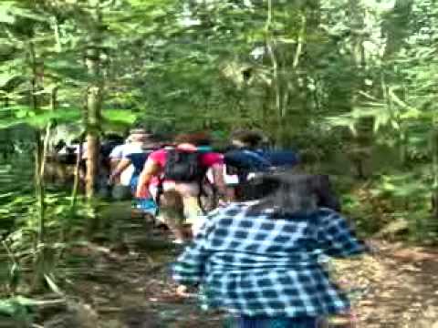 Semenggoh - 17/6/2011