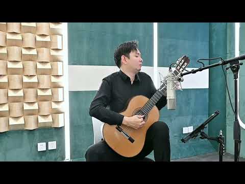 Chen Chuan plays La Muerte del Angel by Piazzolla - Brouwer