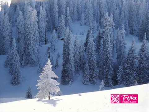 Przyjaciele Karpia- Karp 2010