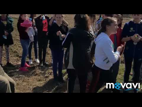 COLAJ - Actiune de curatenie cu copii de la scoala Petelea 22.03.2019