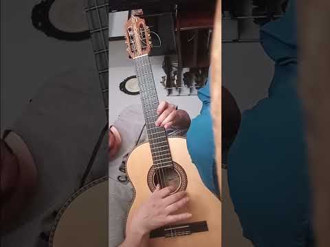 Lejos De Ti - Trío los Brillantes