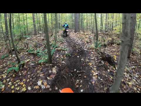 KTM 150 XCW TPI - Simco 2020