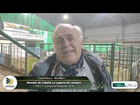 17-05-23 - Daniel Biocca - Martillero - Remate de Cabaña La Laguna de Lavayen - Carmen de Patagones