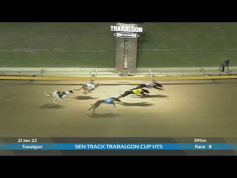 SEN Track Traralgon Cup Heat 5