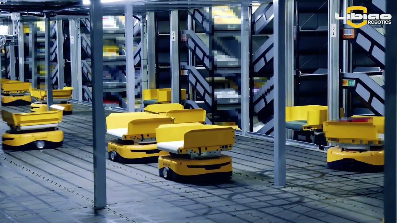 3D Sorting System for World-Renowned Footwear & Apparel Brand — Libiao Robotics