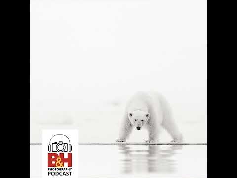 The Beauty & Impact of Polar Photography, with Acacia Johnson & Jonas Paurell
