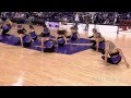 Classy Cat S Senior Performance