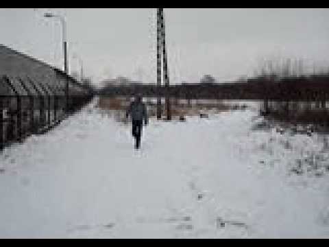 NIeDoWiAry StReFa 11