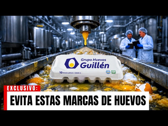 Vídeo relacionado con mundohuevo Par de Calcetines + 1 calcetín de regalo por el quese pierde en la lavadora | Escudo Getafe | Personalizado con nombre | Tacto algodón | Talla única | Haz un regalo único y divertido