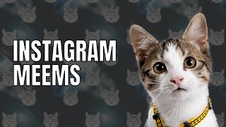 FUNNY VIDEO X | instagram meems | LATB BY | #2video