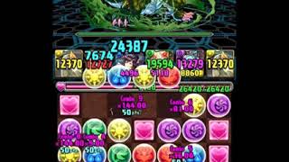 [샤리테배 랭던] 147800점